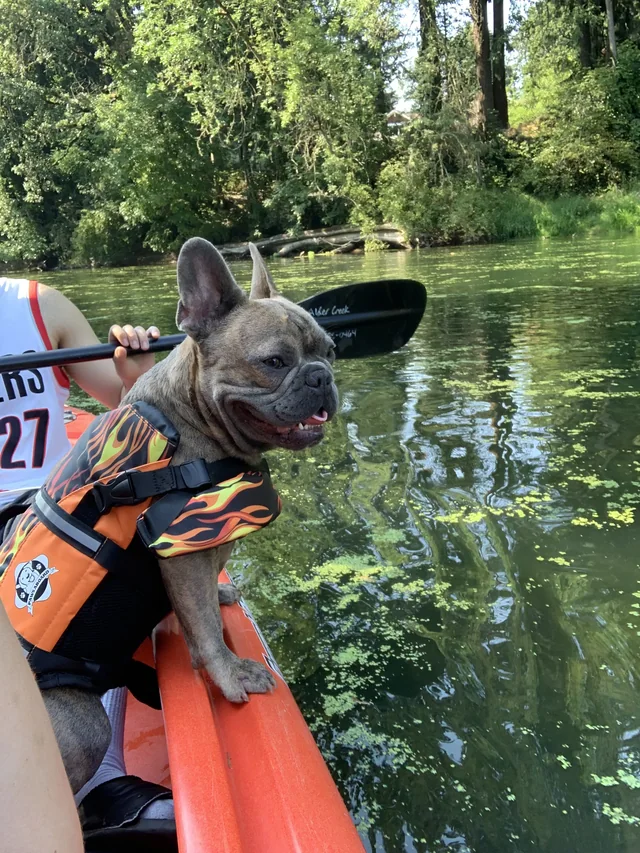 Bean kayaking in an orange flame-pattern life jacket.