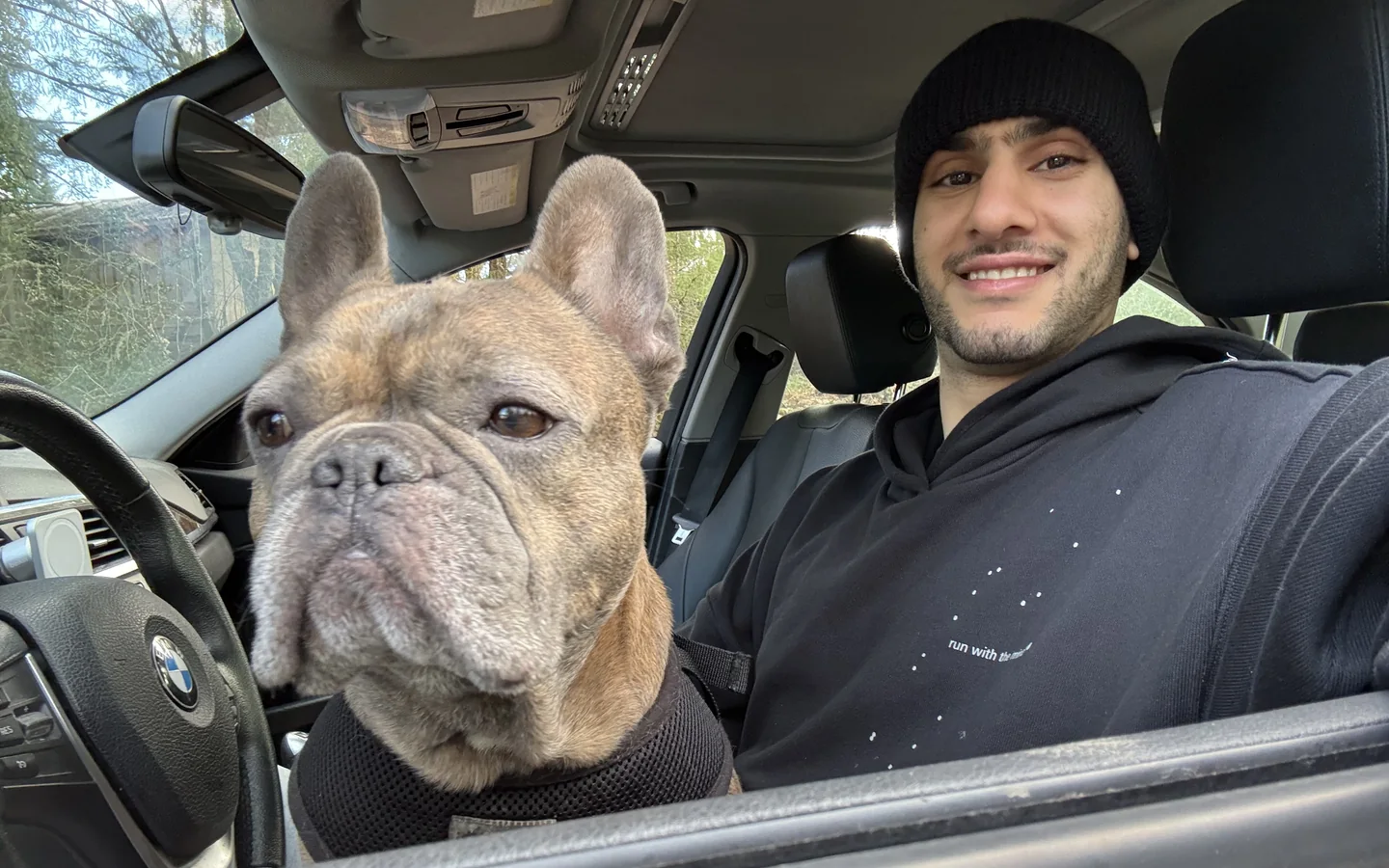 Bean sitting up front in the car beside his person.